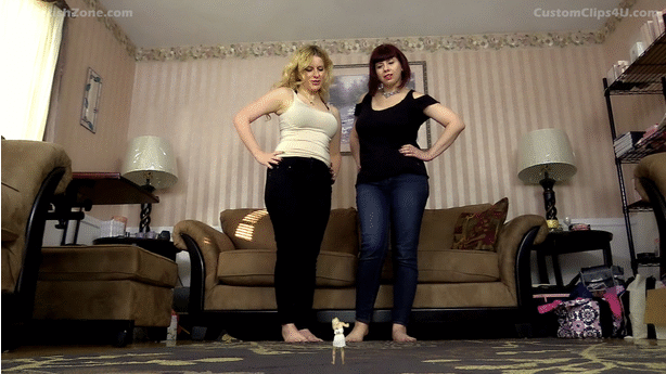 <p>Models: Would love to see Miss Vivian and Miss Velvet.</p>
<p>Scenario: Vivian and Jacquelin have a shrunken woman and decide to have fun with her.</p>
<p>SCENES<br />1. Vivian and Jacquelin start out in jeans and t-shirts<br />2. They both walk into the room and immediately see the shrunken woman (g.i. joe size)<br />3. Jacquelin "There is our new toy"<br />Vivian whispers something into Jacquelin 's ear<br />Jacquelin laughs and smiles "That's a great idea"<br />Vivian down the woman "Don't go anywhere. We will be right back"<br />4. Vivian and Jacquelin come back into the room wearing robes. They both take off the robes and reveal they are wearing bikini's/bra and panties<br />5. Vivian "Come here little one" She bends down and picks up the woman. The Village of the Giants song comes on and they start to dance<br />6. Vivian and Jacquelin take turns dancing with the shrunken woman while dancing with each other<br />7. They both put the woman in their cleavage, while the other is behind and reaches around rubbing and pushing the others breasts together<br />8. The screen fades to black and comes back up with Vivian and Jacquelin both now topless (with pasties) and bottoms (bikini/panties)<br />9. Vivian "Where did she go?" Jacquelin "I shrunk her down even more"<br />10. Jacquelin holds out her hand to show the now even small woman (FX with real person)<br />11. Music starts again and they start to dance<br />12. Both push their breasts together and put the woman right in between. Camera zooms in and you see the shrunken woman in between their giants breasts<br />13. Jacquelin puts the shrunken woman hanging from her hair as they continue to dance<br />14. The woman falls and lands of one of vivian pasties<br />15. Camera zooms in and you see her hanging on<br />16. Woman eventually falls down to the waistband of Vivian bottoms<br />17. Camera zooms in and you see she is hanging on for dear life as she continues to dance<br />18. Vivian "I want to try that" Vivian reaches over and grabs the tiny woman and puts her on the waistband on her bottoms as she continues to dance<br />19. After a bit Jacquelin grabs the woman and puts her on Vivian's pasty<br />20. After a bit the camera kind of zooms in and you Jacquelin 's enormous hand fondle Vivian's other breast while you still see the tiny woman hanging on the other one<br />20. After a bit Jacquelin licks the tiny woman off of Vivian's pasty<br />21. You see the tiny woman in Jacquelin 's mouth<br />22. Jacquelin spits her out into Vivian's hand<br />23. Jacquelin "I got just the right place to keep her"<br />24. Jacquelin turns around and bends over as if she is going to pick up something. Meanwhile Vivian sneezes and the tiny woman goes flying through the air. She ends up falling right down the back of Jacquelins underwear. Jacquelin gives a shout of surprise and says "I guess that place is good as well. How about you squirm a little for me"</p>