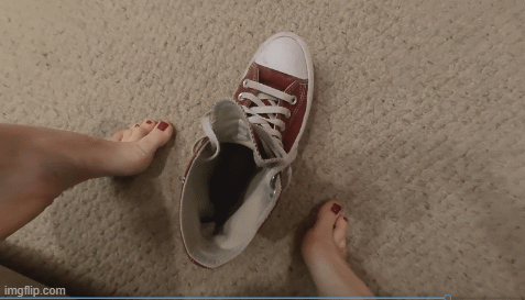 This starts out as an unaware clip, with Giantess Olinka walking by you several times, wearing her jeans and showing off her bare soles.   After a few minutes, she discovers you... and decides you belong at the bottom of her Converse Chuck Taylor's.   In you go... and here comes her bare foot!  VR4K 