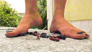<h4>Crushing toy cars with my bare feet, teeth and butt</h4><br><br>
While strolling around as a giantess, I find a tiny highway full of tiny cars, which are smaller than my toes. This will be fun. I grab some of the little cars with my toes, lift them up and let them drop. I crush a lot of the little cars and their drivers with my huge bare feet. Watch me biting a car into pieces with my mighty teeth. For the final part, I bury a lot of cars under my titanic butt for total destruction.
<br><br>
If you like to see me crushing tiny toy cars with my dirty feet, crushing one into pieces with my teeth, a butt crush onto many tiny cars and some foot grabbing action, this clip is for you. I’ve also added some sound effects, so it sounds like real cars getting smashed.
<br><br>
This is the second part of Highway to Crush, that I’ve released last year. The first part was focused on high heels. Some cars didn’t get destroyed. I simply couldn’t leave it that way. :-)