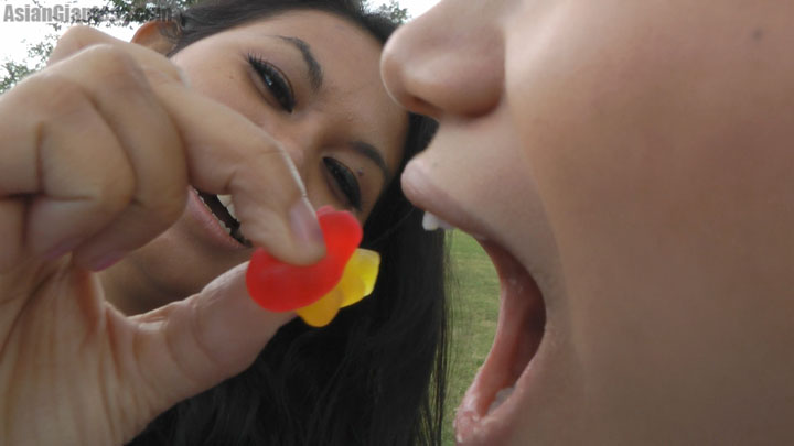 We've really been missing gummi bear videos, so during Tenshi and Sinthia's video shoot together we produced this one! Not only do the girls feed each other the classmates Tenshi has already turned into gummi bears, along with some teachers, but it's almost like Tenshi is training Sintha how to enjoy eating them in a way. The first couple that Sinthia eats seem quite politely chewed, but as the video goes on she gets a bit more playful. Tenshi of course is right on into it as always! Included as well are advanced slow motion moments showing off the chaos inside their mouths. As they continue eating, additional gummies are added until Tenshi ends up eating six after Sinthia encourages her to do so! This is an all new gummi bear vid featuring two classic models from Asian Giantess!
